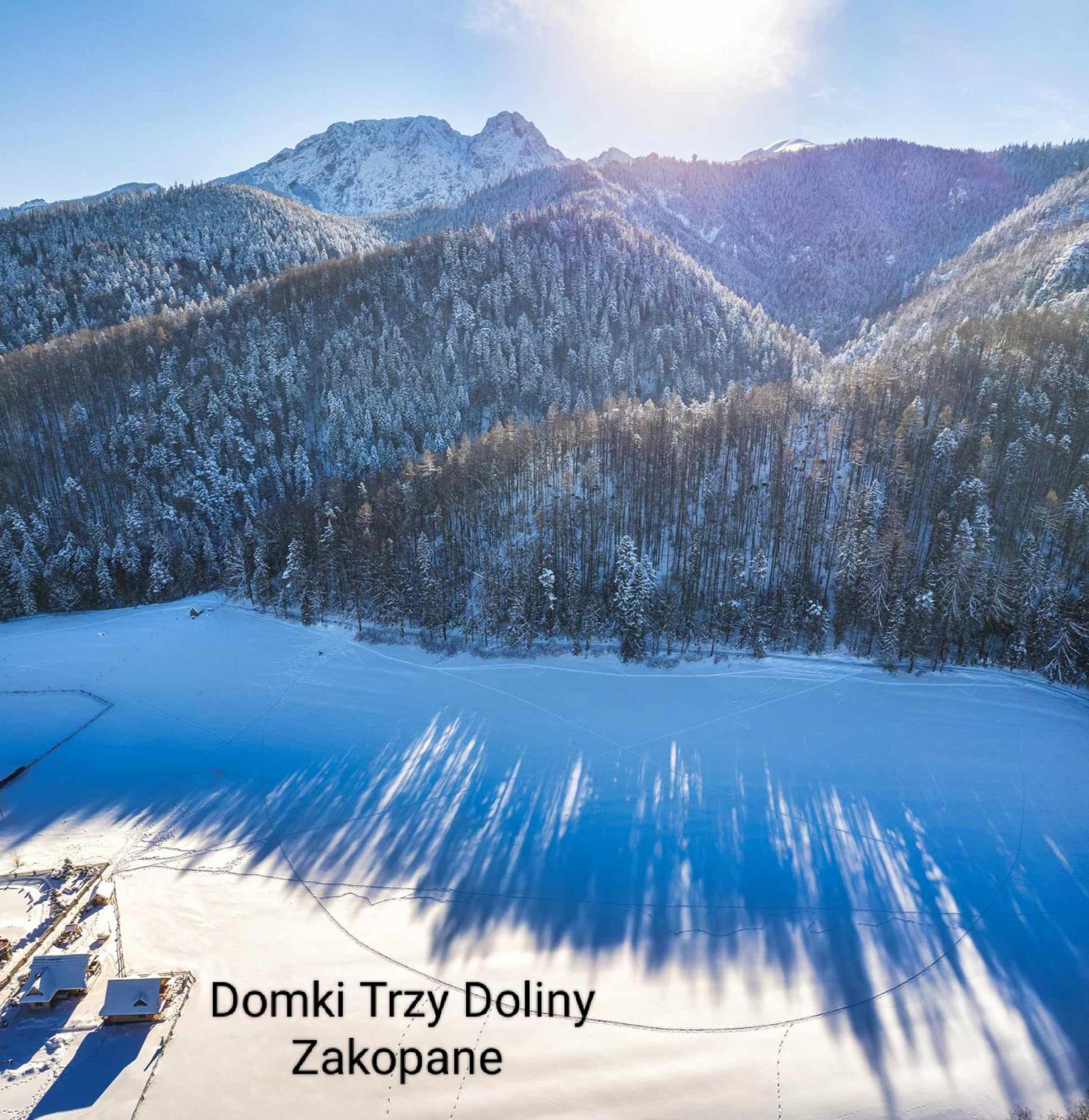 Domek Trzy Doliny Zakopane II Three Valleys Chalet Zakopane II Buitenkant foto